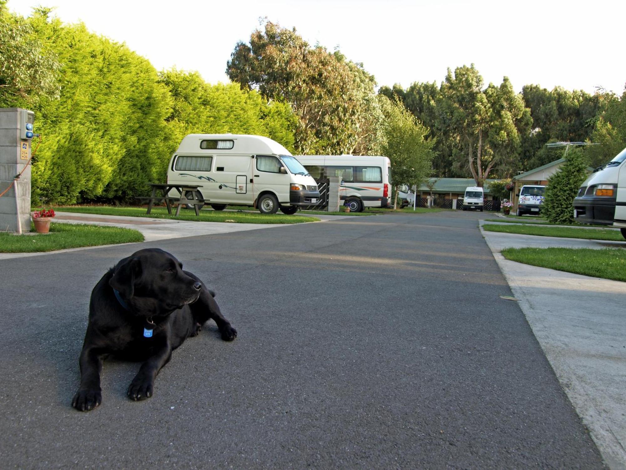 Invercargill Holiday Park & Motels エクステリア 写真